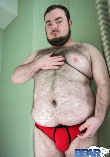 bears Pics